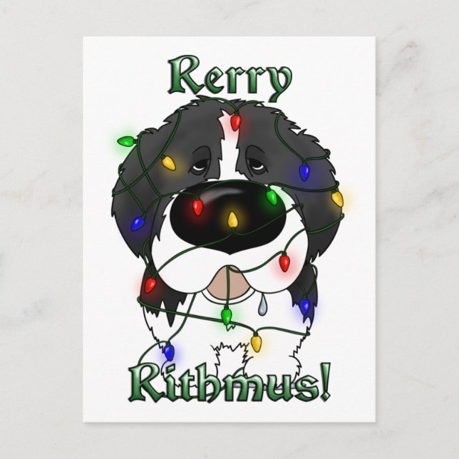 Cartão Postal De Festividades Luzes de Natal da Terra Nova (Frente)