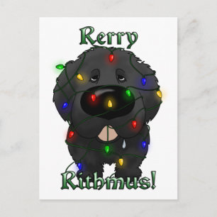 Cartão Postal De Festividades Luzes de Natal da Terra Nova