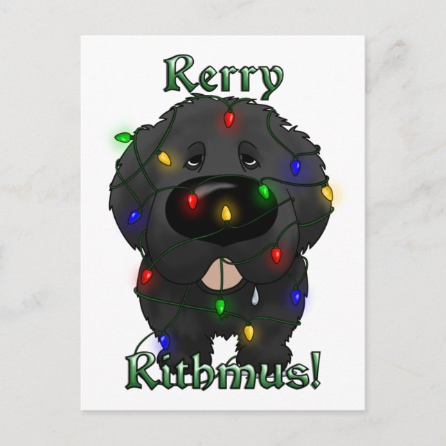 Cartão Postal De Festividades Luzes de Natal da Terra Nova (Frente)