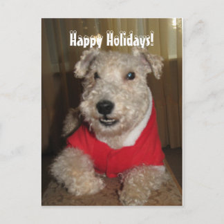 Cartão Postal De Festividades Maestro the Lakeland Terrier Christmas Cards