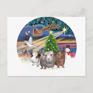 Cartão Postal De Festividades Magia de Natal - 3 Porquinhos-da-Índia
