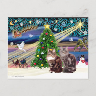 Cartão Postal De Festividades Magia de Natal - Dois gatos Maine Coon
