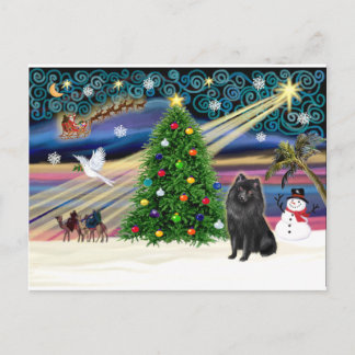 Cartão Postal De Festividades Magic-Schipperke do Natal