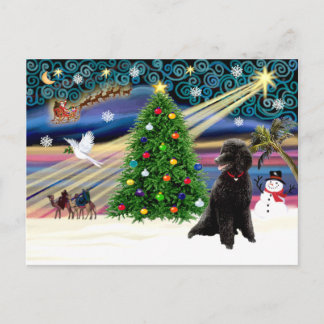 Cartão Postal De Festividades Mágica de Natal-Poodle-Padrão-preto