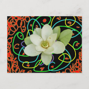 Cartão Postal De Festividades Magnólia Sweetbay (Magnolia virginiana)