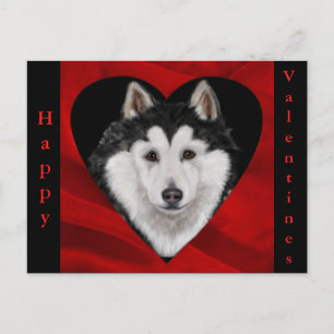Cartão Postal De Festividades Malamute do Alasca