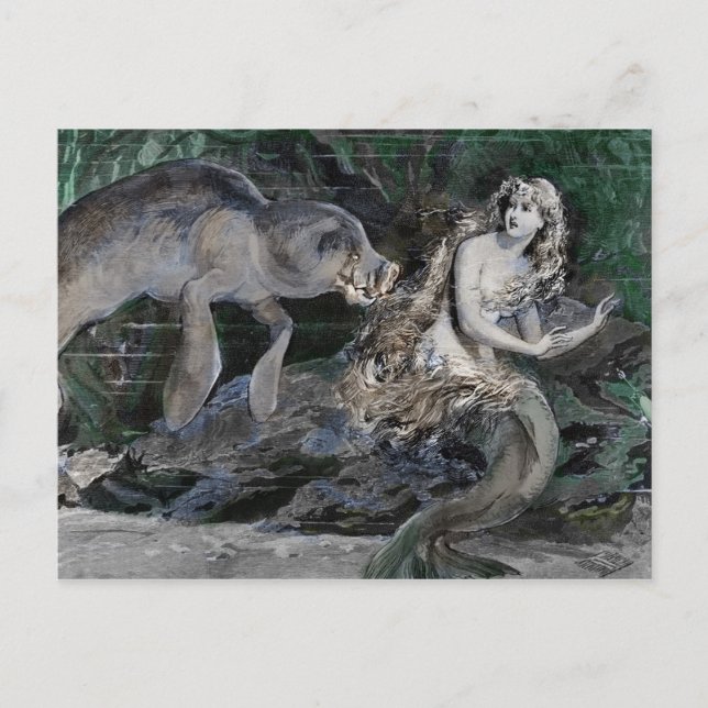 Cartão Postal De Festividades Manatee encontra sereia (Frente)