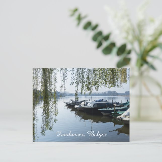 Cartão Postal De Festividades Manhã Calma de Primavera, Donk Lake Bélgica  (Em pé/Frente)