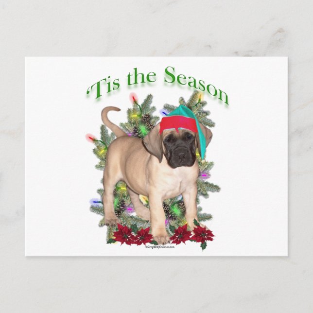 Cartão Postal De Festividades Mastiff 2 "Tis (Frente)