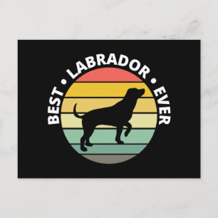 Cartão Postal De Festividades Melhor versão do laboratório de laboratório do Ret