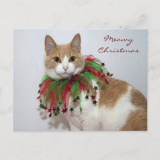 Cartão Postal De Festividades Meowy Christmas