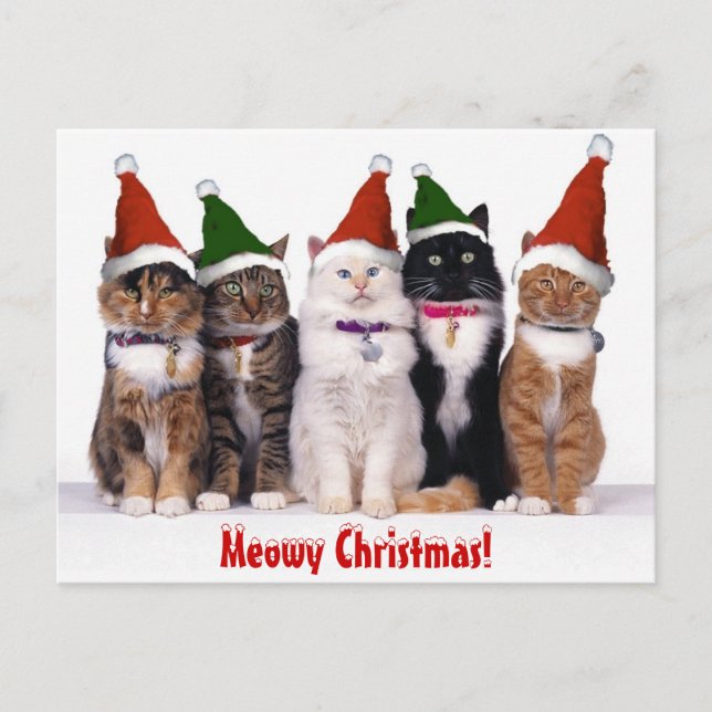 Cartão Postal De Festividades "Meowy Christmas!" Cats (Frente)