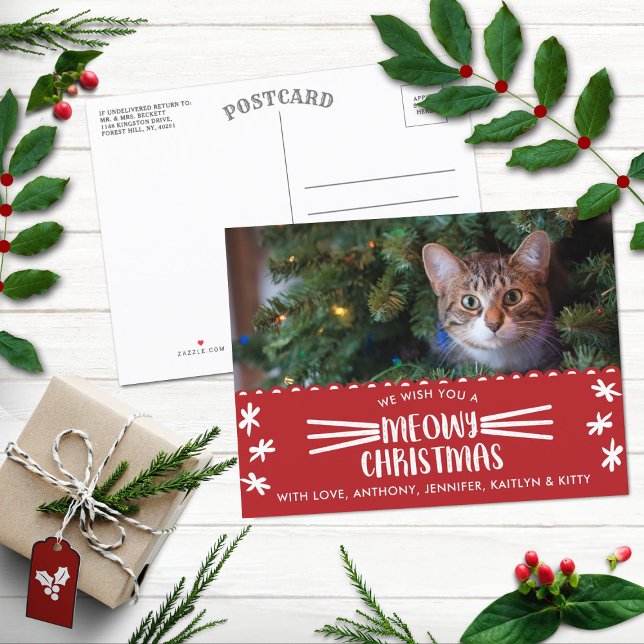 Cartão Postal De Festividades Meowy Christmas | Foto de Natal (Criador carregado)