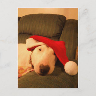 Cartão Postal De Festividades merra christmas santa hat