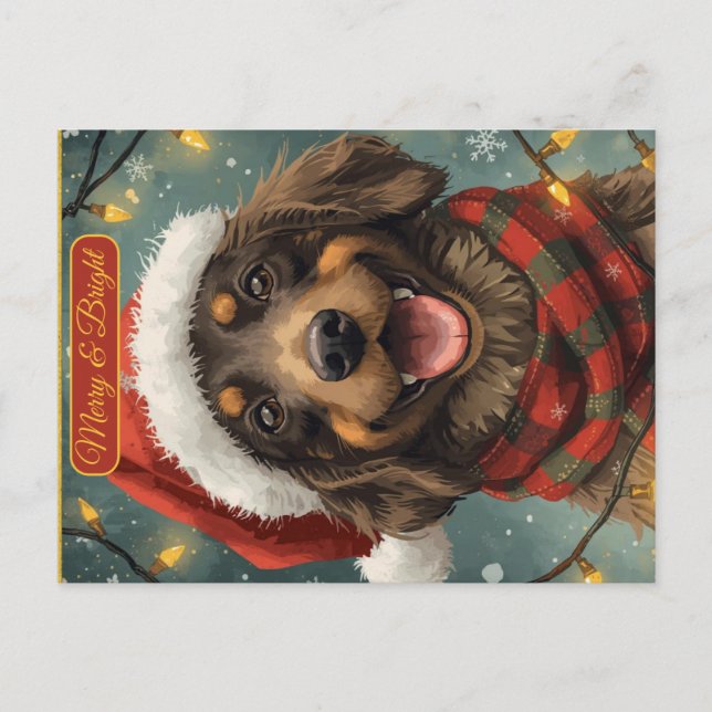 Cartão Postal De Festividades Merry Bright Holiday Dog Postcard (Frente)