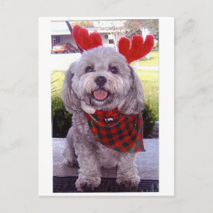 Cartão Postal De Festividades Merry Christmas