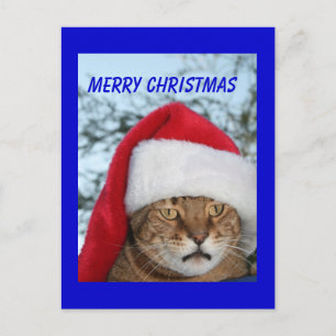 Cartão Postal De Festividades MERRY CHRISTMAS Cat