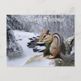 Cartão Postal De Festividades Merry Christmas Chipmunk Postcard