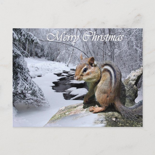 Cartão Postal De Festividades Merry Christmas Chipmunk Postcard (Frente)