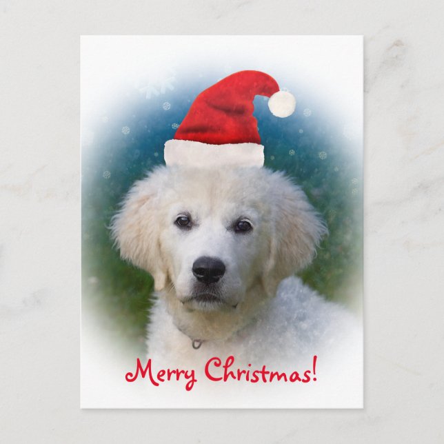Cartão Postal De Festividades Merry Christmas! | Cute Golden Retriever Puppy (Frente)
