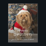 Cartão Postal De Festividades Merry christmas from Santa paws<br><div class="desc">Merry christmas from santa paws</div>