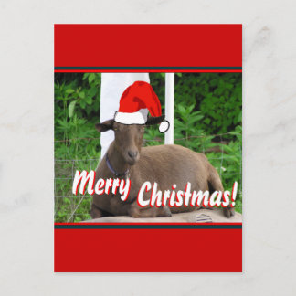 CARTÃO POSTAL DE FESTIVIDADES MERRY CHRISTMAS GOAT GREETINGS