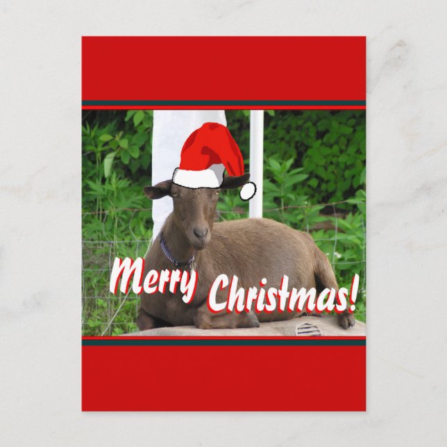 CARTÃO POSTAL DE FESTIVIDADES MERRY CHRISTMAS GOAT GREETINGS (Frente)