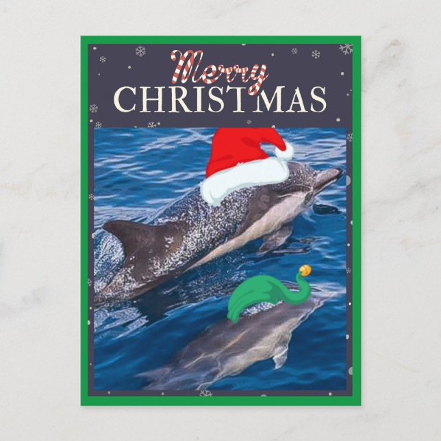 Cartão Postal De Festividades Merry Christmas Mom and Baby Dolphin postcard (Frente)