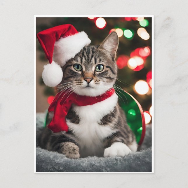 Cartão Postal De Festividades Merry Christmas with a cute kitten (Frente)