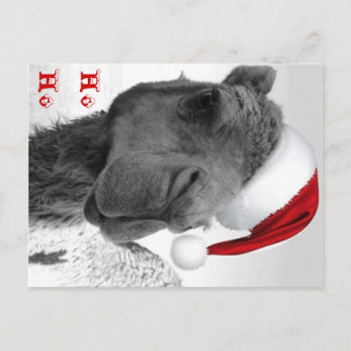 Cartão Postal De Festividades Merry Humpin' Christmas Camel Claus