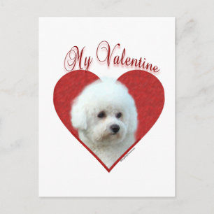 Cartão Postal De Festividades Meu Bichon Frise no Dia dos Namorados