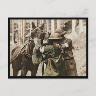 Cartão Postal De Festividades Missouri Mule em uma Máscara de Gás