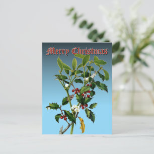Cartão Postal De Festividades Mistletoe Holly Greenery Botânica