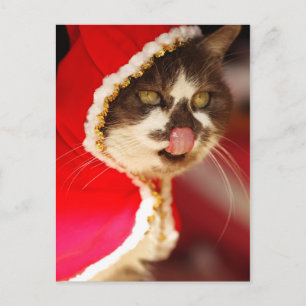 Cartão Postal De Festividades Mmm - Julgamentos de Natal Iummy