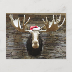 Cartão Postal De Festividades Moose Natal