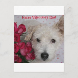 Cartão Postal De Festividades Mr. Pish and a Dozen Roses Valentine's Day Card