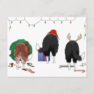 Cartão Postal De Festividades Nada De Bumbum De Fronteira De Natal