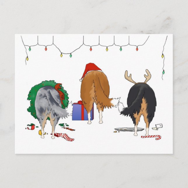 Cartão Postal De Festividades Nada de Bumbum de Natal Collie (Frente)