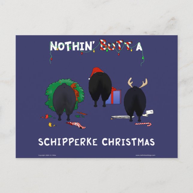 Cartão Postal De Festividades Nada de Bumbum de Natal Schipperke (Frente)