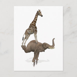 Cartão Postal De Festividades Nada Parece Impossível Para Os Melhores Amigos