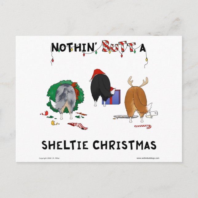 Cartão Postal De Festividades Nada termina um Natal de Sheltie (Frente)