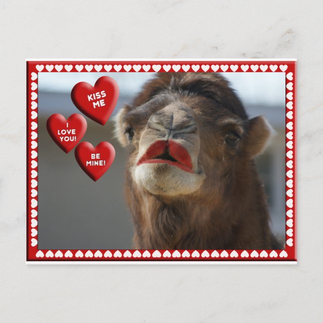CARTÃO POSTAL DE FESTIVIDADES NAMORADOS CAMEL - VESTINDO LIPSTICK - ME BEIJA! (Frente)