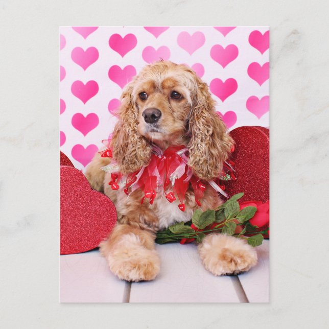 Cartão Postal De Festividades Namorados - Cocker Spaniel - Bella (Frente)
