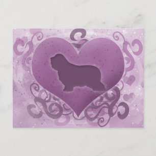 Cartão Postal De Festividades Namorados Collie com Mancas Roxas