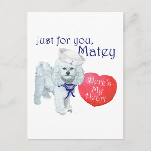 Cartão Postal De Festividades Namorados do Marinheiro Bichon Frise