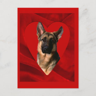 Cartão Postal De Festividades namorados german shepherd