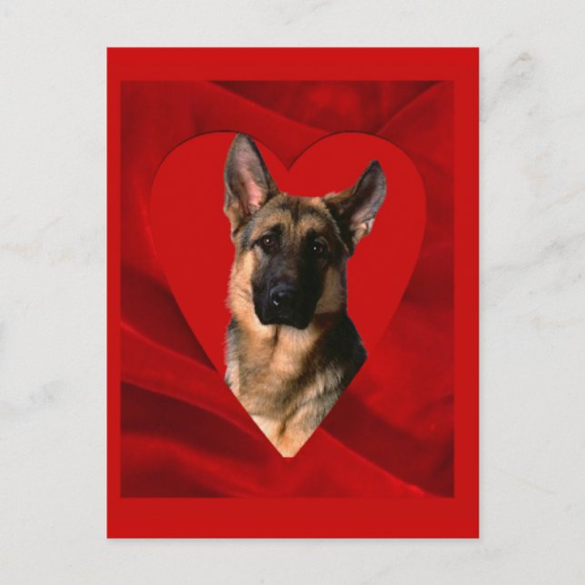 Cartão Postal De Festividades Namorados german shepherd (Frente)