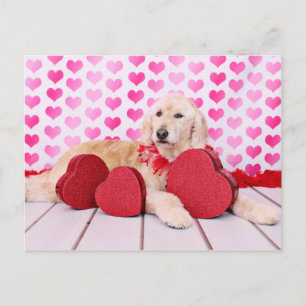 Cartão Postal De Festividades Namorados - GoldenDoodle - Maggie