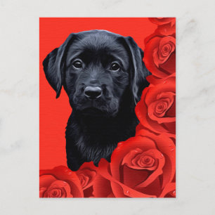 Cartão Postal De Festividades Namorados - Rosas - Labrador - Preto