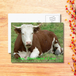 Cartão Postal De Festividades Não tenha uma vaca, tenha o Dia de Ação de Gra